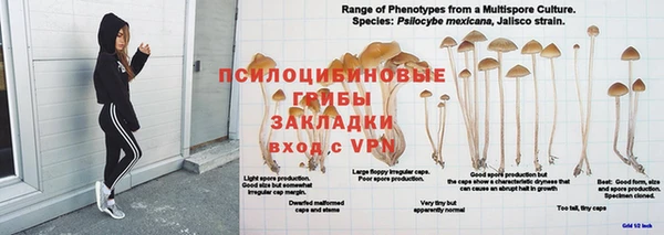 сатива Алзамай