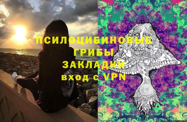 сатива Алзамай