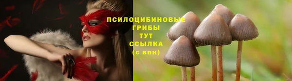 крисы Алексеевка